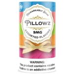 Pillowz TFN Pouches - 5PK Assorted Flavors - 9MG