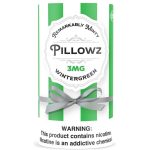 Pillowz TFN Pouches - 5PK Wintergreen 3MG