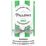 Pillowz TFN Pouches - 5PK Wintergreen 6MG