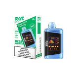 RAZ LTX 25K Puff Disposable Blueberry Yummy