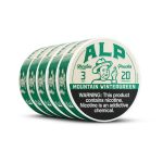 ALP Nicotine Pouches - 5PK Mountain Wintergreen 3MG Angle
