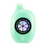 Flum UT Bar 50K Puff Disposable-Miami Mint - Mint Slushy