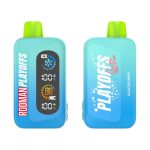 RODMAN Playoffs Ice-Nic Control 50K Puff Disposable Glacier Mint