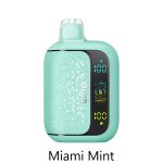 Vaporesso Dojo Sphere S 40K Puff Disposable Miami Mint