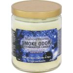 smoke odor 13oz candle Blueberry Dreamz