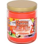 smoke odor 13oz candle Flower Power