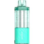 Fogest XP 40K Puff Disposable MIAMI MINT