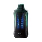 Lost Mary VIZ 55K Disposable Cool Mint