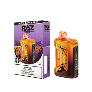 RAZ VUE Kit 70K Puff Disposable Key Lime Pie