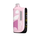 EVOL 100K Puff Disposable Juicy Peach Ice