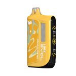 EVOL 100K Puff Disposable Mexico Mango